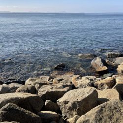 苅谷波止で何が釣れるか初釣行 一応キス狙い!